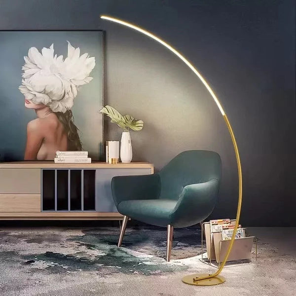 Curvey Floor Lamp